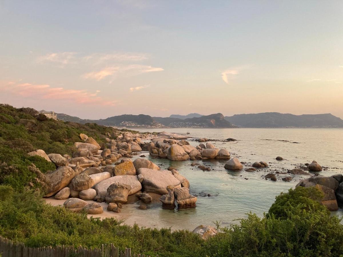 Bosky Dell On Boulders Beach 시몬스타운 외부 사진